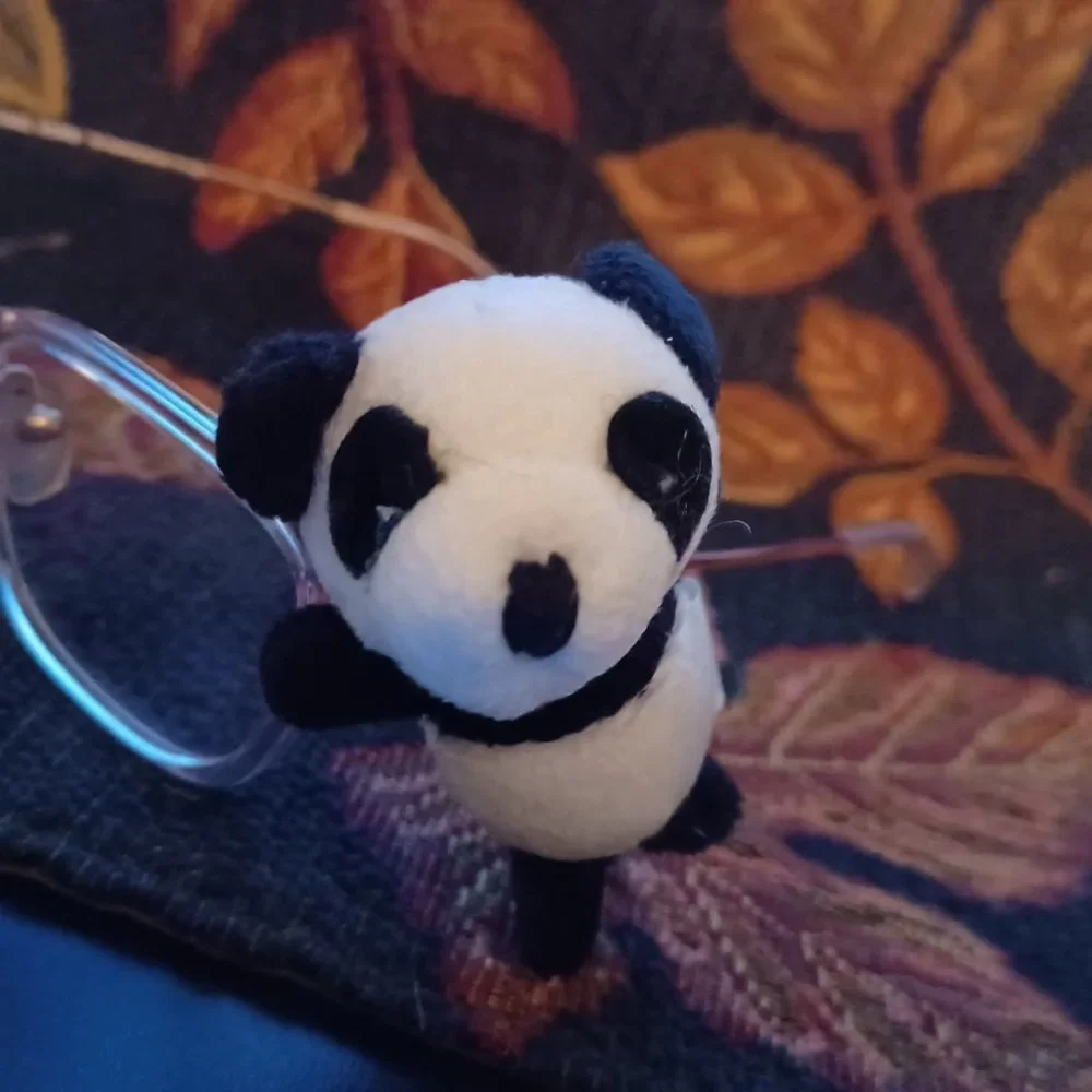 New Vintage Icon Eyewear Kids Eyeglasses buddy / Pal Panda Fit All Glasses